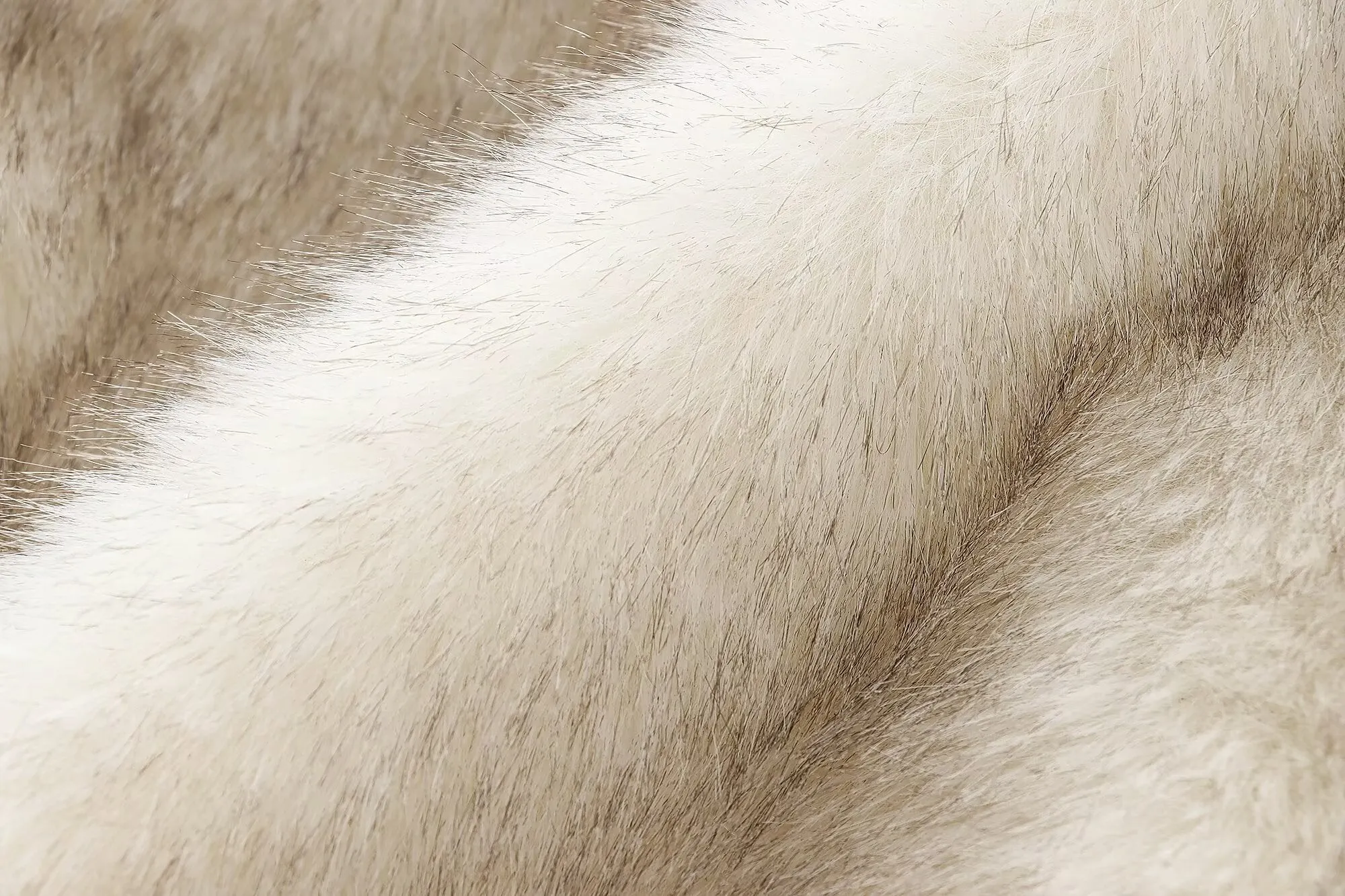 Cropped Faux Fur Jacket
