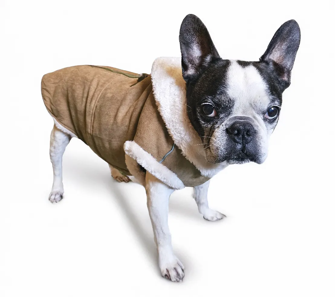 Dogo Pet - Furry Runner Coat