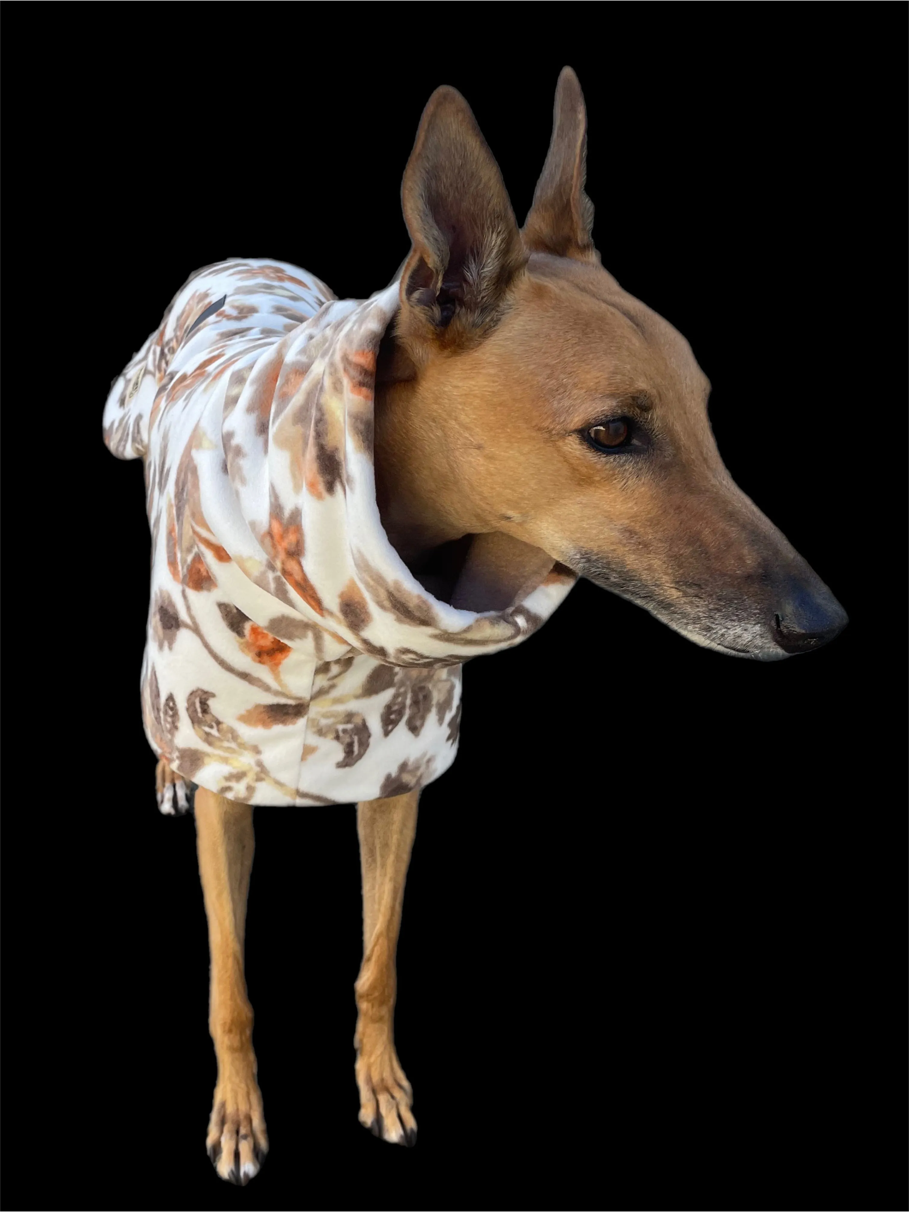Greyhound coat deluxe style rug winter leaves polar fleece washable extra wide neck