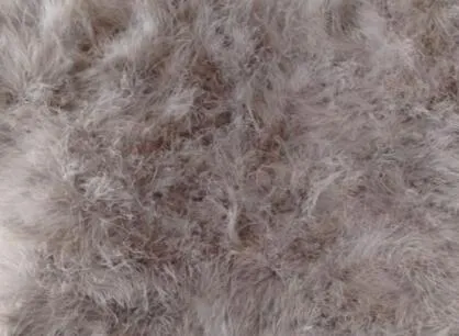 LET-SETTING hot sale new winter coat fur coat Ostrich hair in women Slim plus size coat fur coat