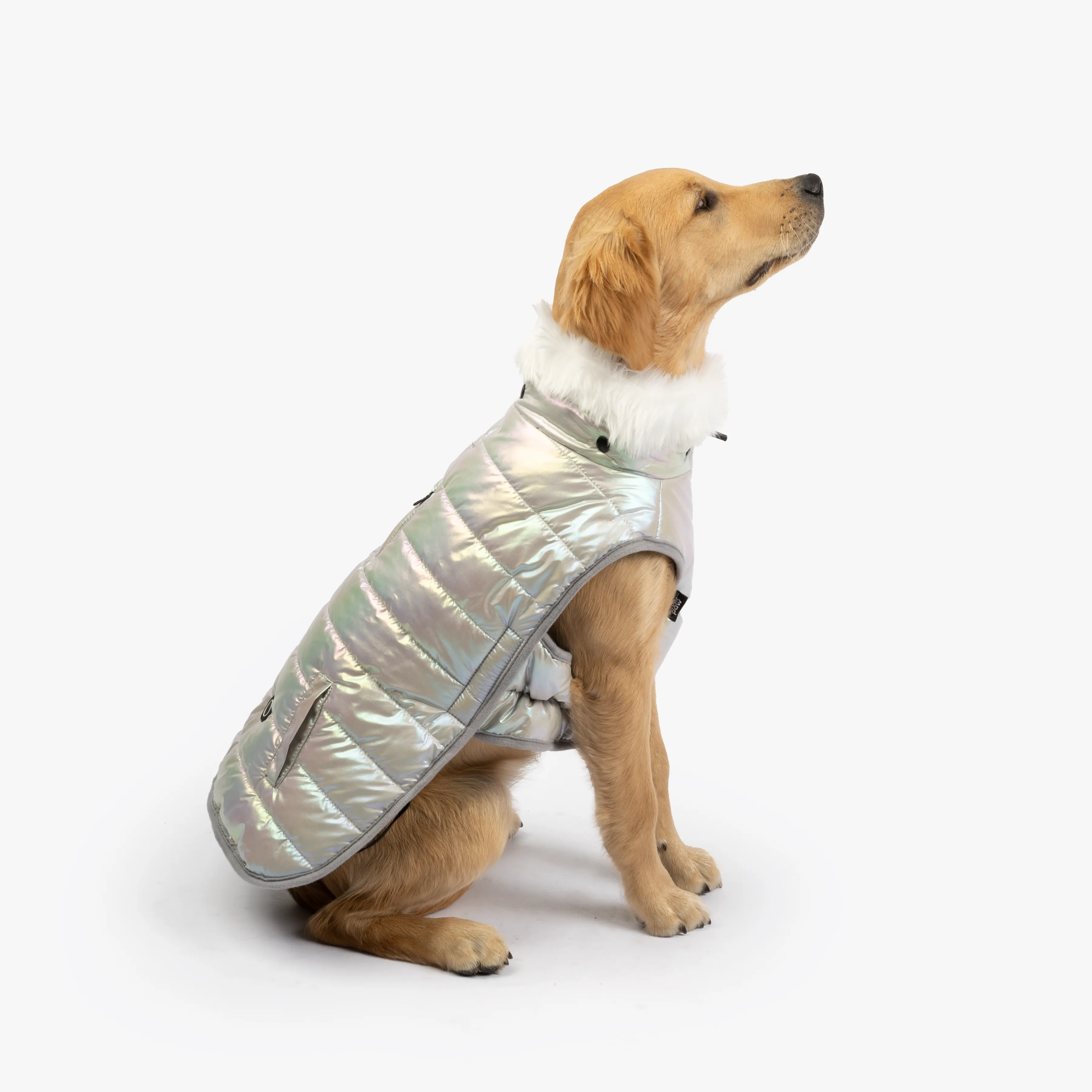 Nikka Easy Fit Jacket (Silver)