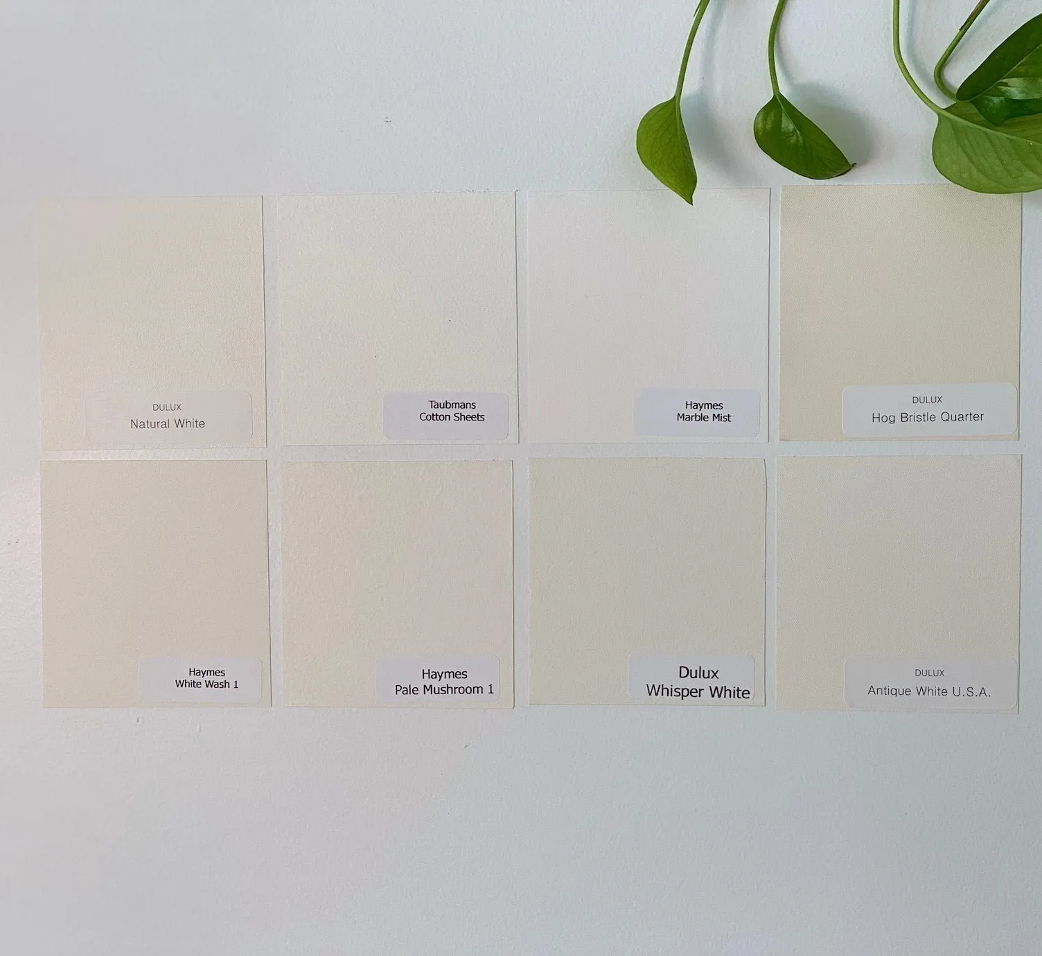 Sampler Pack - Warm White